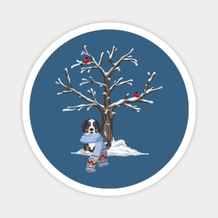 Bernese Mountain Dog with Tree in Winter Wear Magnet